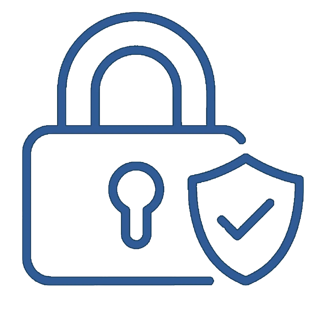 Fast and Secure Service 